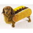 halloween costumes for dogs and kids