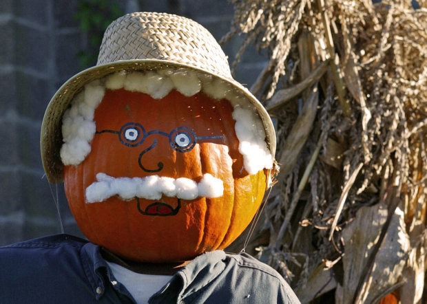 halloween costumes for kids pumpkin man