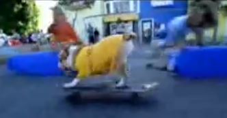 Tyson skateboarding dog