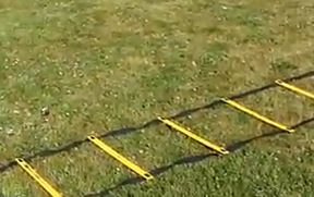 Agility ladder in the grass