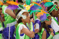 Carnival February Celebration