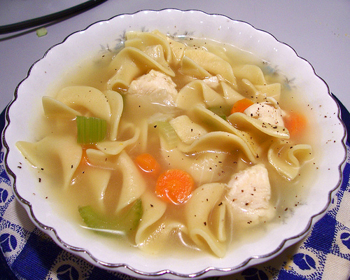 chicken noodle soup