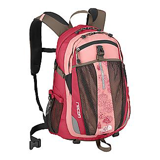 Pink North Face Recon Backpack