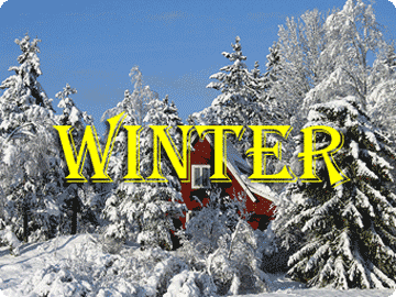 winter activities and fun for kids